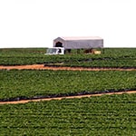 Acerca del Valle de San Quint&iacute;n y alrededores